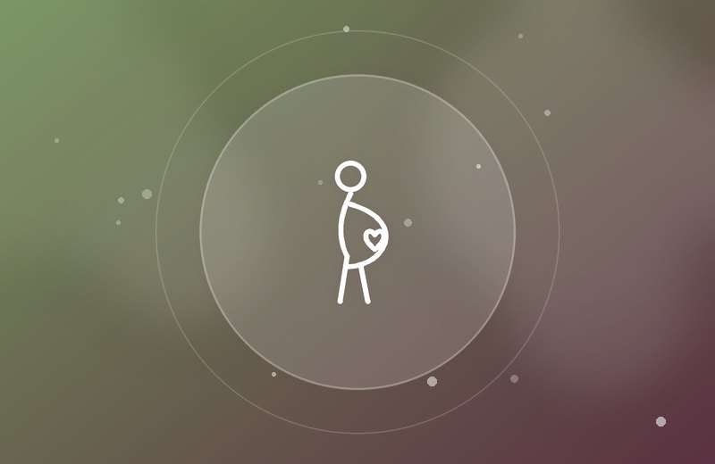 Holistic Pregnancy Wellness Program